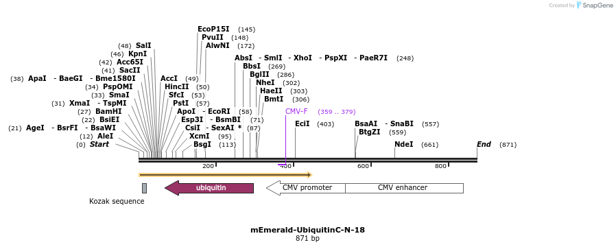 92403_map
