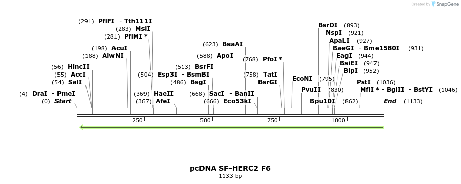 92405_map
