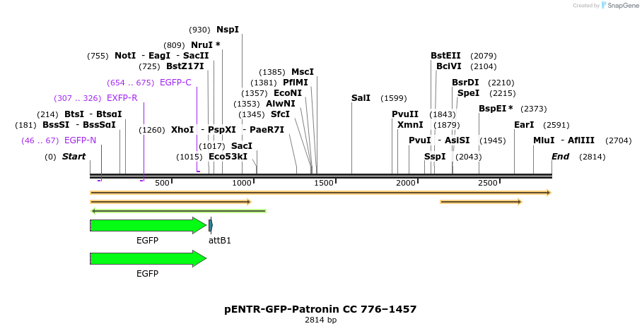 92409_map