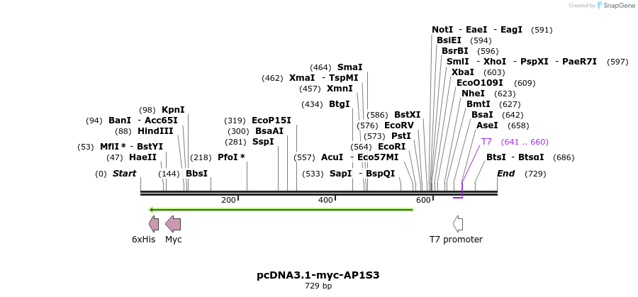 92410_map