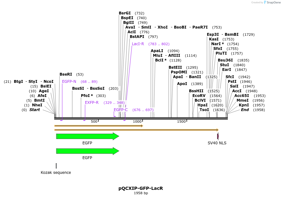 92424_map