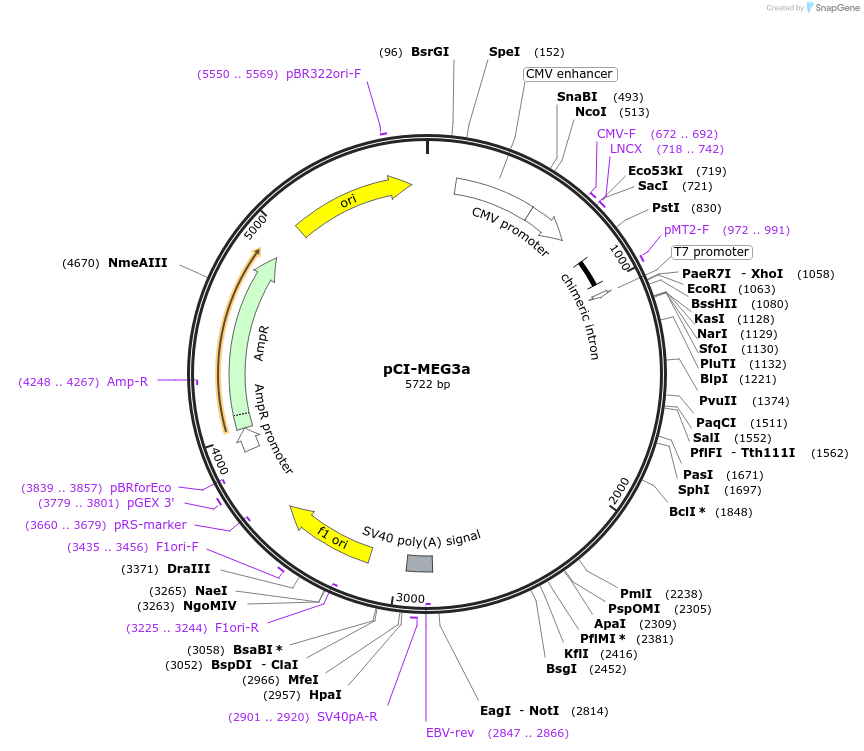 92426_map