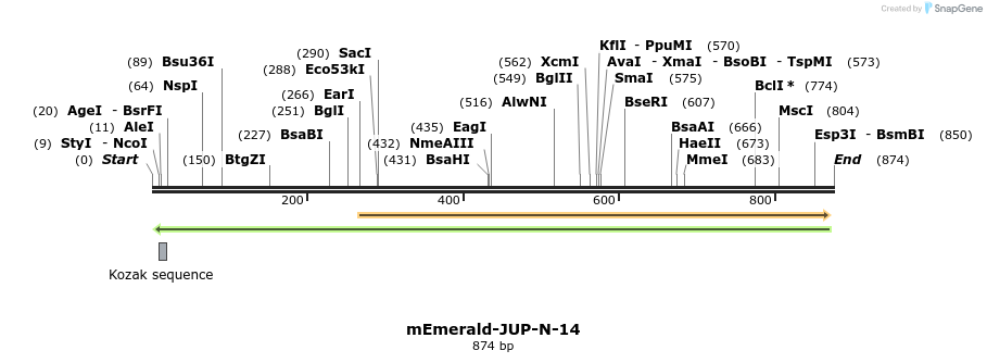 92431_map