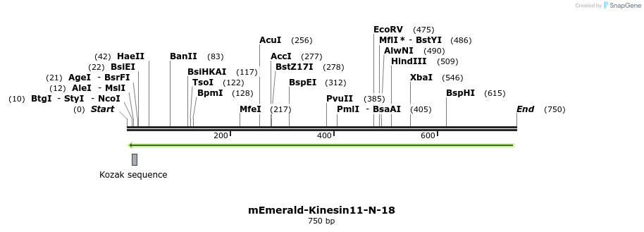 92432_map