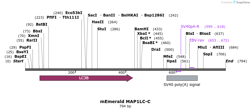 92439_map