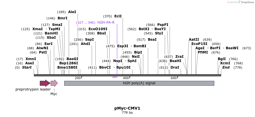 92460_map