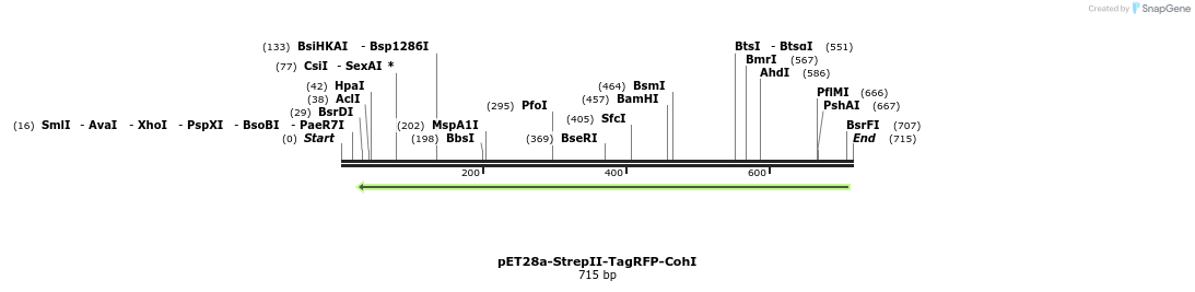 92462_map