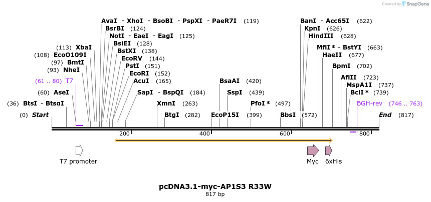 92468_map