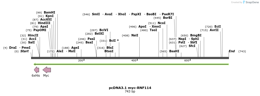 92473_map
