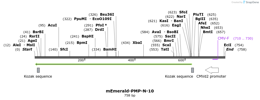 92474_map