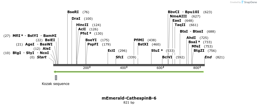 92476_map