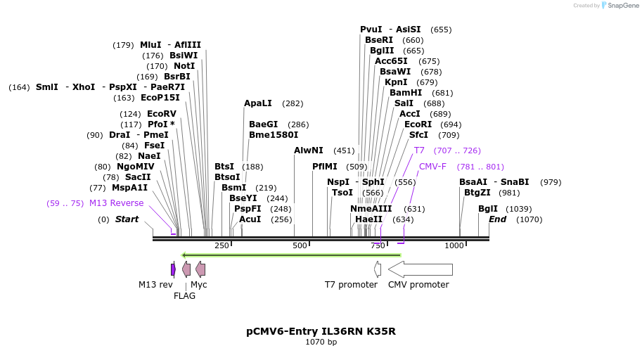 92477_map