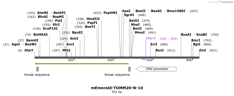 92479_map