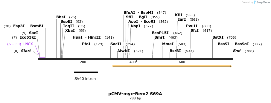 92487_map