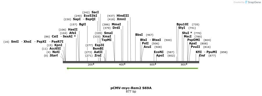 92488_map