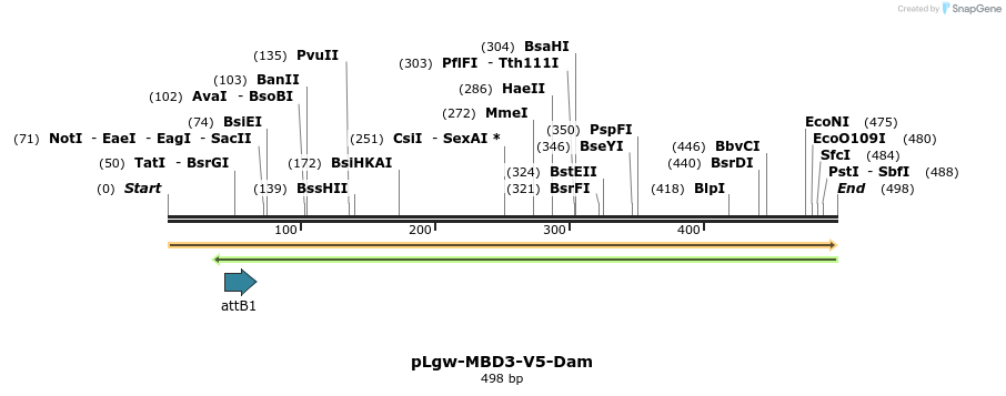 92489_map