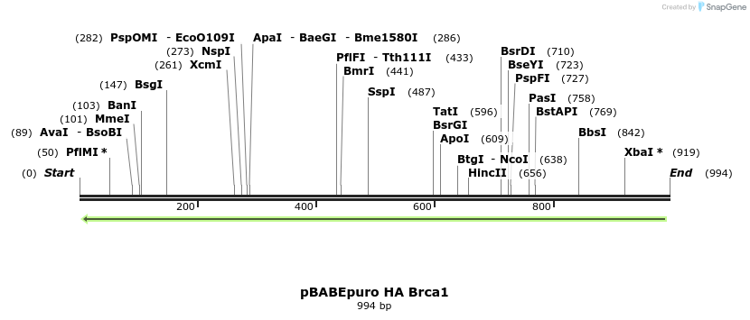 92490_map