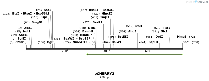 92495_map