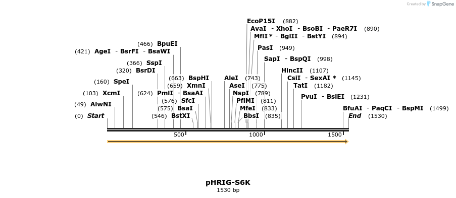 92496_map