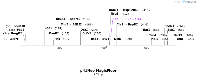 92507_map