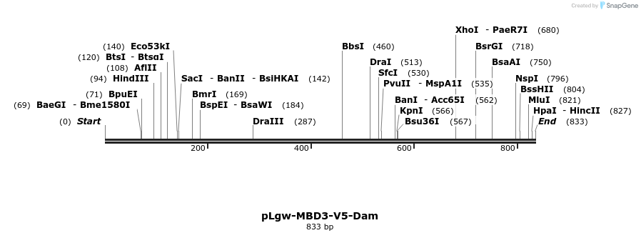 92508_map