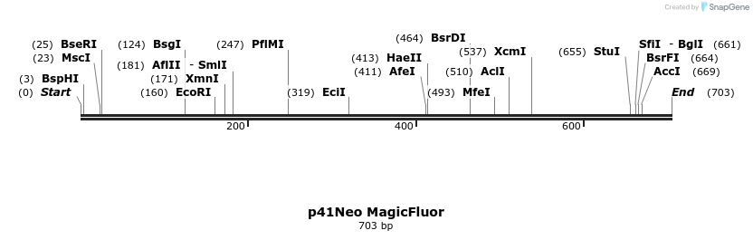 92511_map