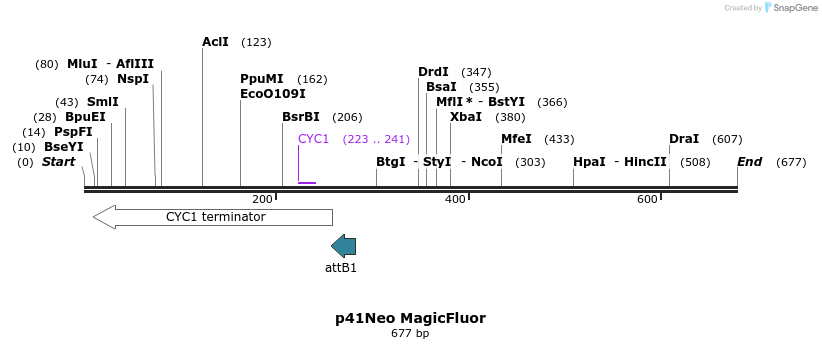 92512_map