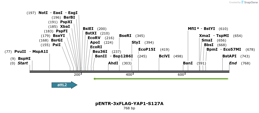 92513_map