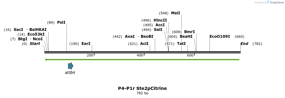 92515_map
