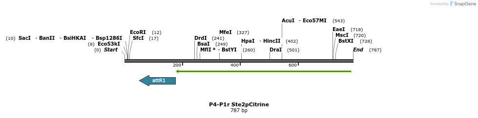 92518_map