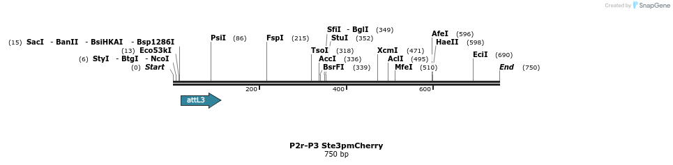 92519_map