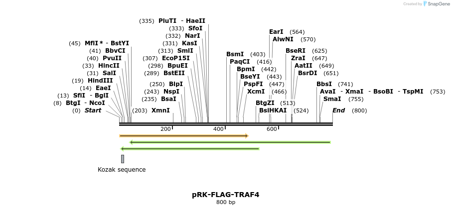 92521_map