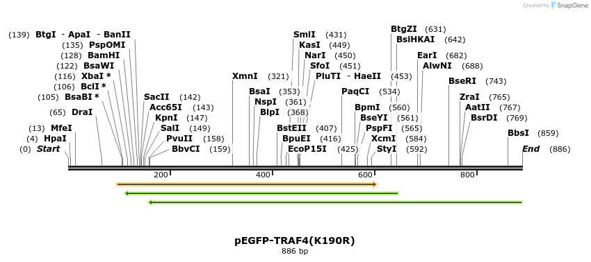92524_map