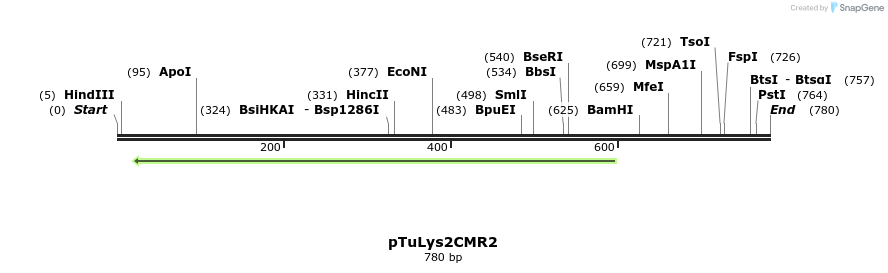 92531_map