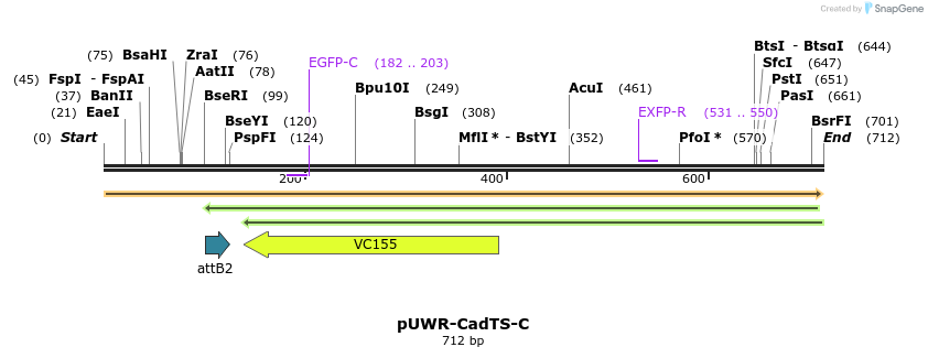 92553_map