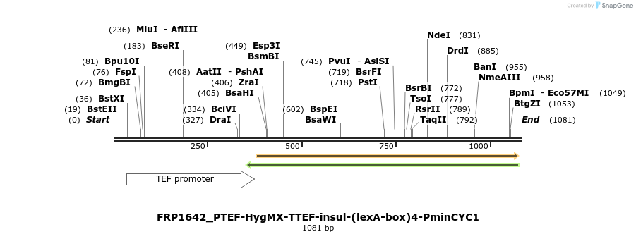 92557_map