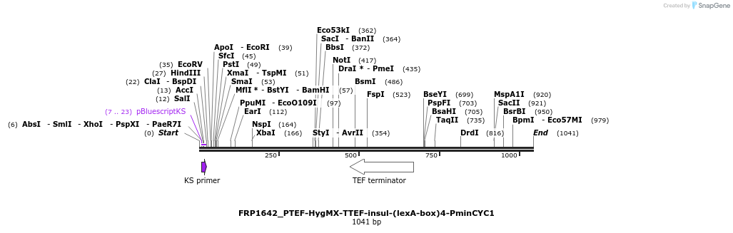 92558_map