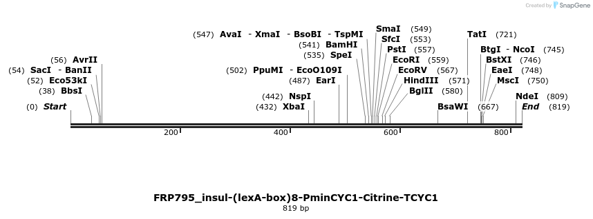92562_map
