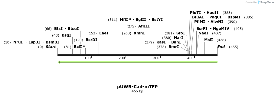 92564_map