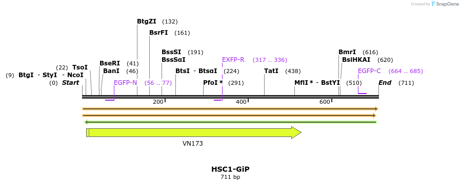 92573_map