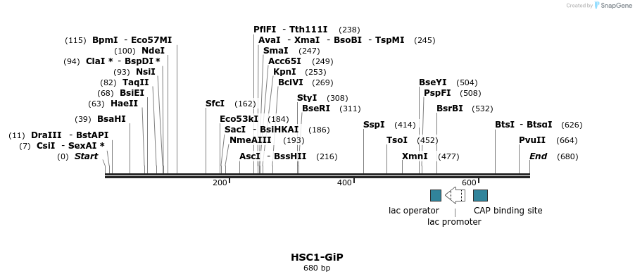 92577_map