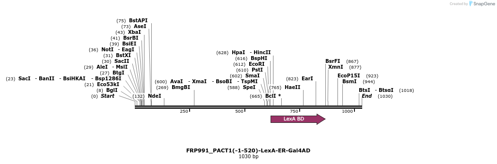 92578_map