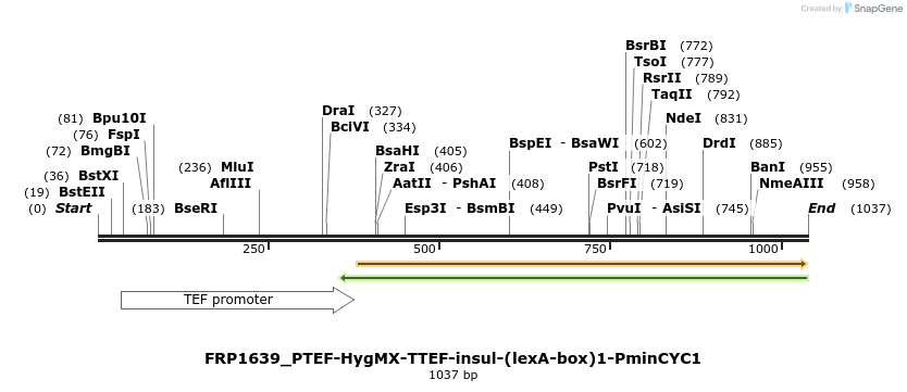 92580_map
