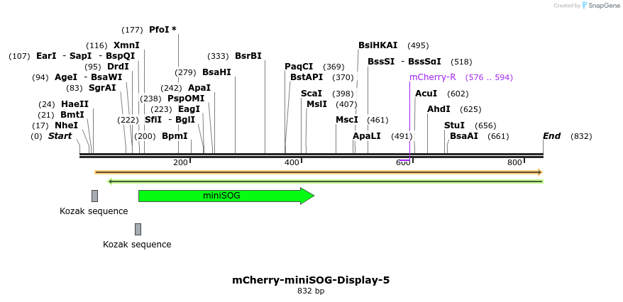 92582_map
