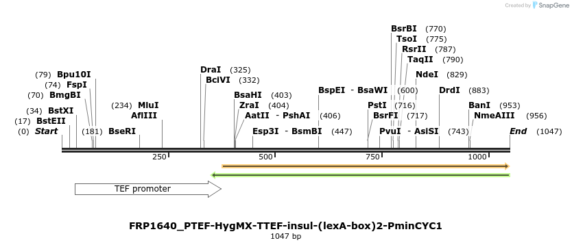 92583_map