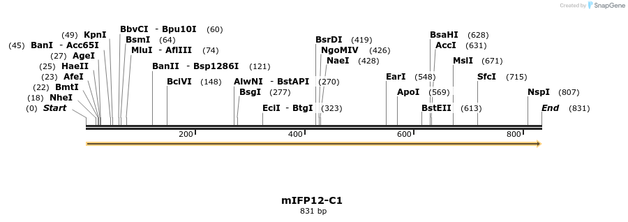 92584_map
