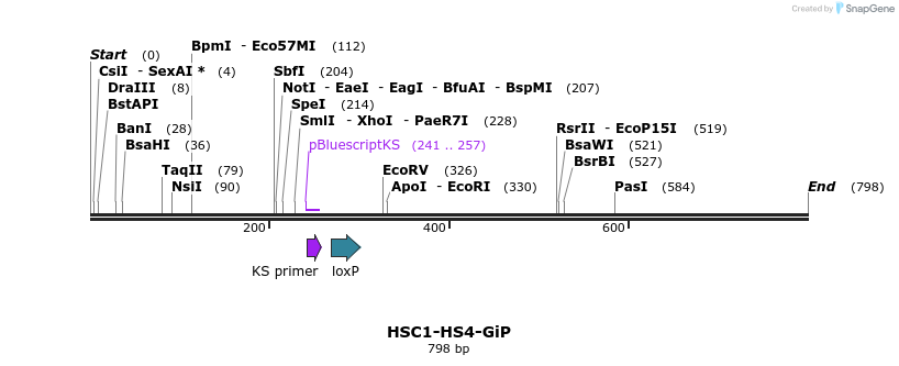 92586_map