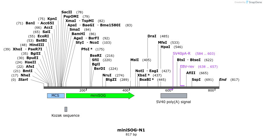 92587_map