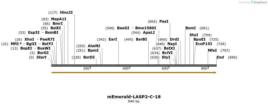 92593_map