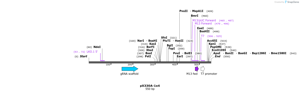 92597_map